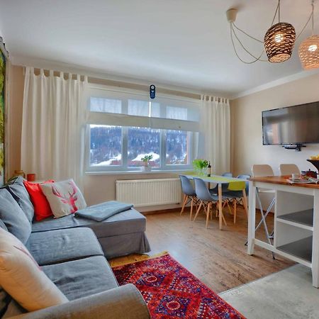 Apartament Zielona Mila Διαμέρισμα Ustrzyki Dolne Εξωτερικό φωτογραφία
