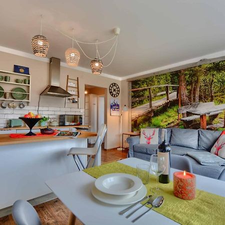 Apartament Zielona Mila Διαμέρισμα Ustrzyki Dolne Εξωτερικό φωτογραφία